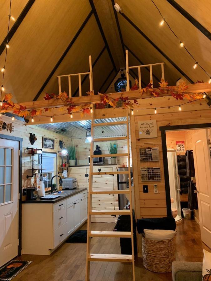 Coops Creek Cabins Dunlap Luaran gambar