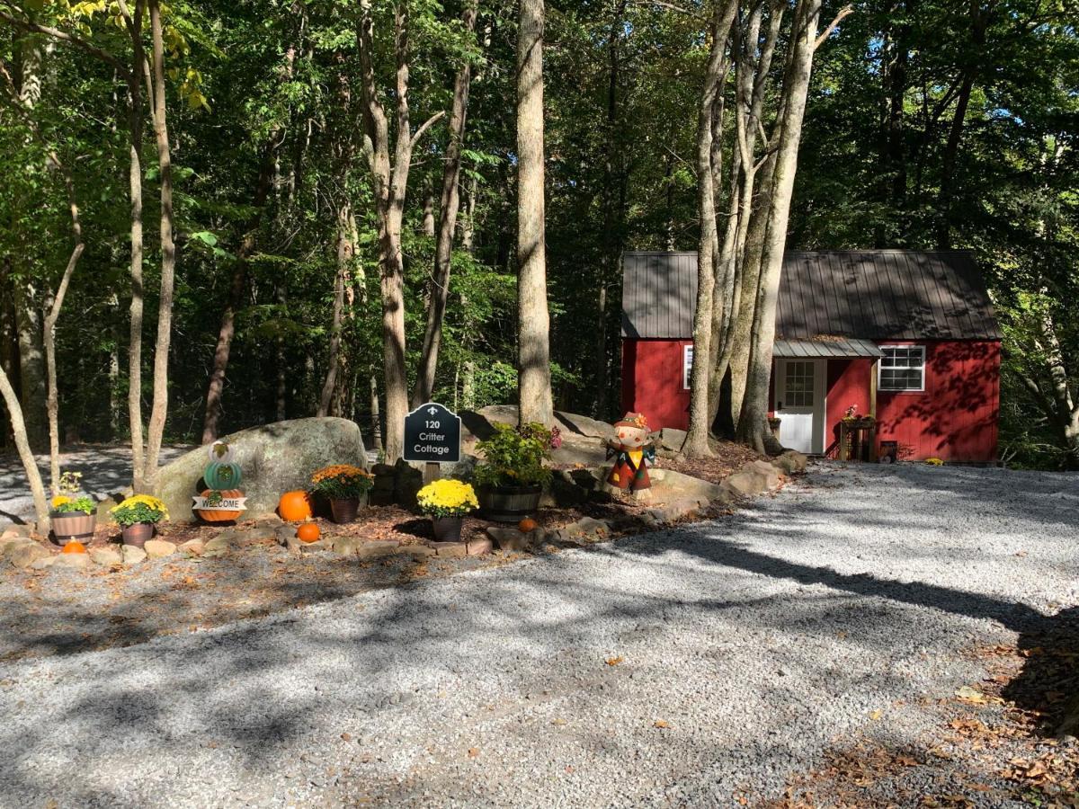 Coops Creek Cabins Dunlap Luaran gambar