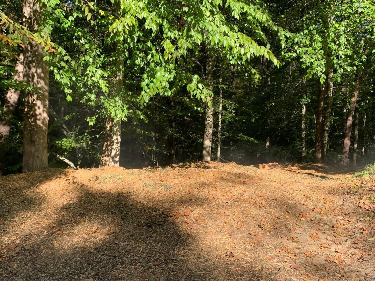 Coops Creek Cabins Dunlap Luaran gambar